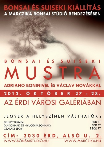 bonsai es suiseki kiallitas a marczika bonsai studio rendezeseben az erdi varosi galeriaban adriano boninivel es vaclav novakkal